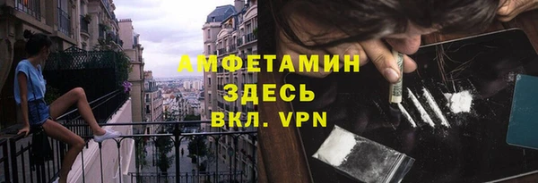 индика Алагир