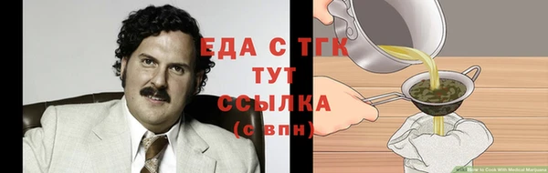 дмт Богородицк