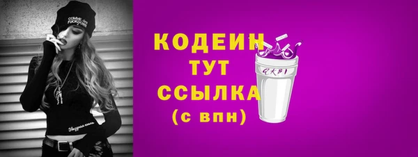дмт Богородицк