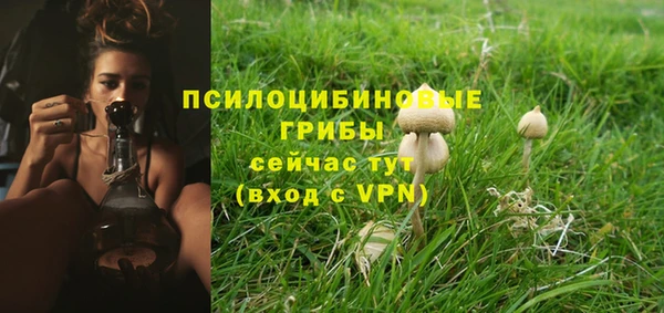 ALPHA PVP Бугульма