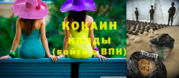 дмт Богородицк
